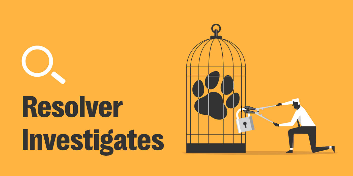 Resolver Investigates: Platform challenges in tackling illegal wildlife trafficking