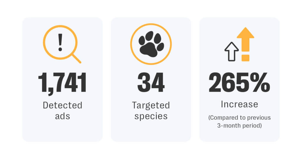 Resolver investigates: platform challenges in tackling illegal wildlife trafficking 2 Infographic showing key resolver data on illegal wildlife trafficking: 1,741 detected ads for wildlife products, 34 targeted species involved, and a 265% increase in activity compared to the previous 3-month period.