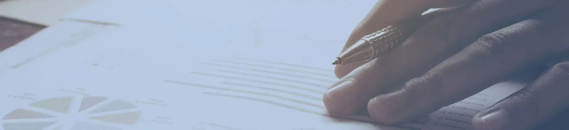 Corporate security budgetsprofessional hand holding pen on document